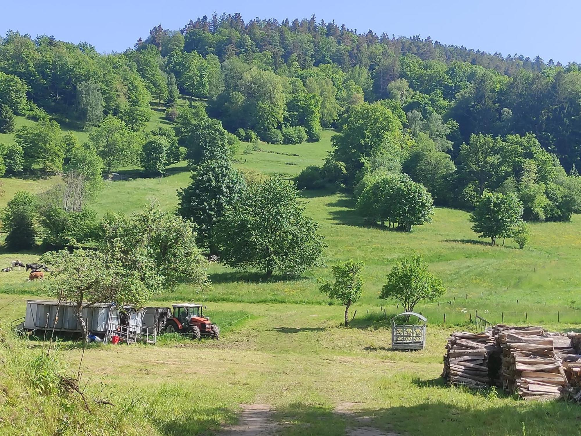 Les Studios Du Frankenthal Stosswihr Exterior foto