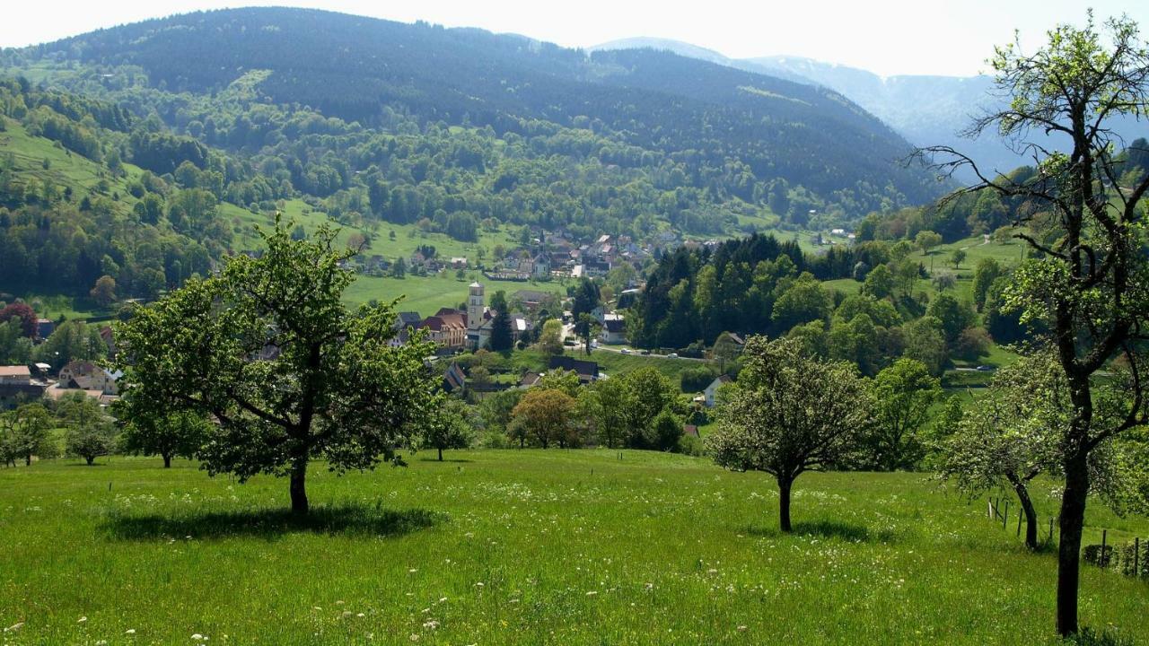 Les Studios Du Frankenthal Stosswihr Exterior foto